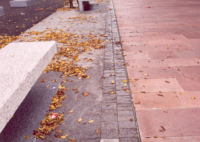 Bacciocchi_01